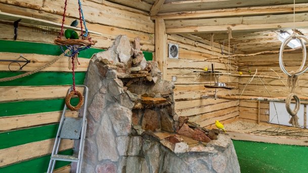 Papugarnia Wilkasy - zdjęcie 36