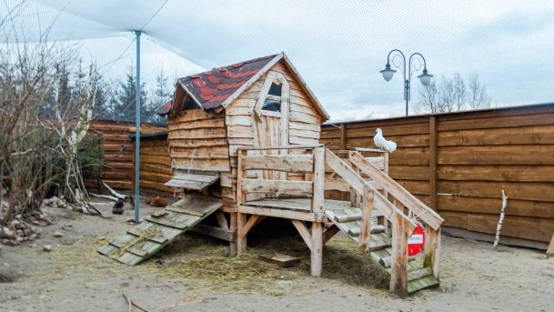 Papugarnia Wilkasy - zdjęcie 5