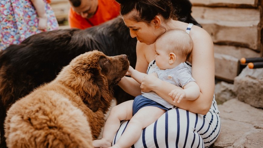 Papugarnia Mazury - zdjęcie 1