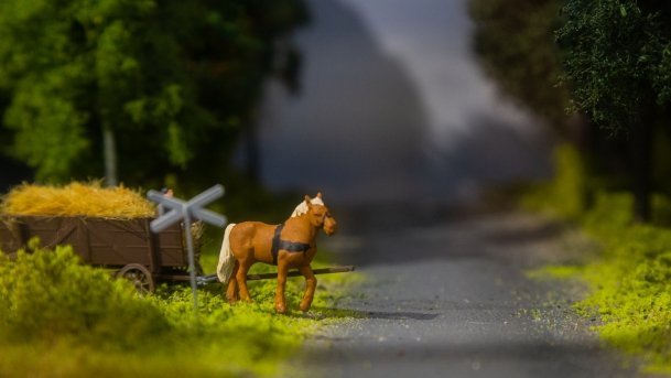 Muzeum Historyczne w Ełku - zdjęcie 52