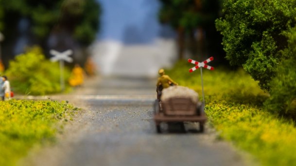 Muzeum Historyczne w Ełku - zdjęcie 50