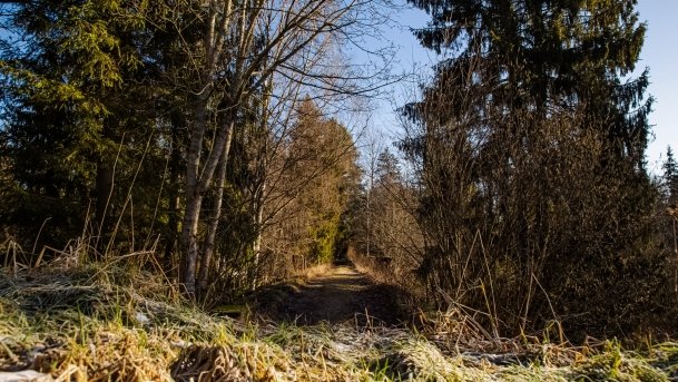 Mosty Kolejowe Botkuny - zdjęcie 24