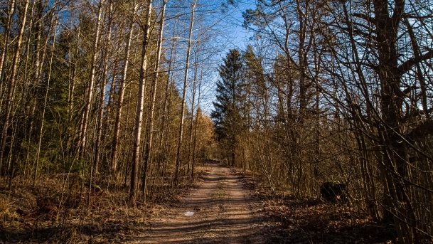 Mosty Kolejowe Botkuny - zdjęcie 22
