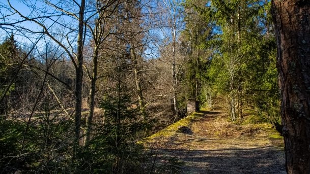 Mosty Kolejowe Botkuny - zdjęcie 17