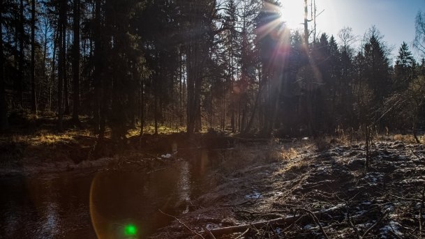 Mosty Kolejowe Botkuny - zdjęcie 14