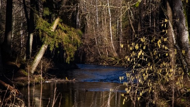 Mosty Kolejowe Botkuny - zdjęcie 13
