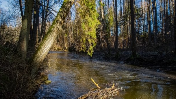 Mosty Kolejowe Botkuny - zdjęcie 4