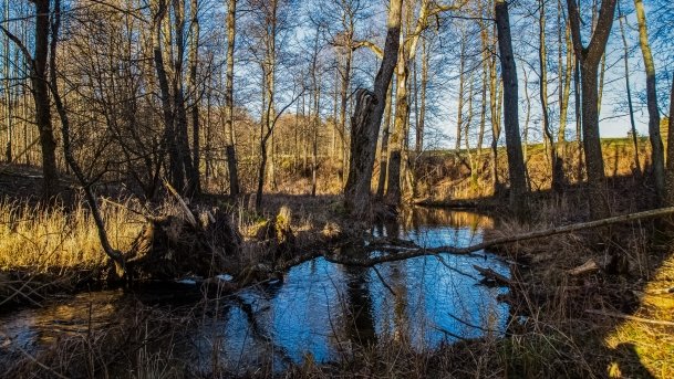 Mosty w Kiepojciach - zdjęcie 11