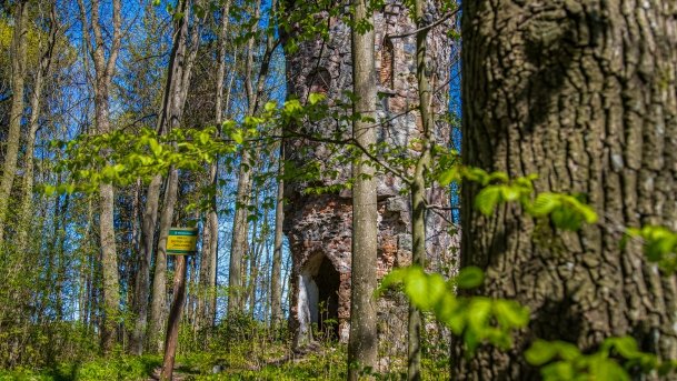 Wieża Bismarcka Srokowo - zdjęcie 46