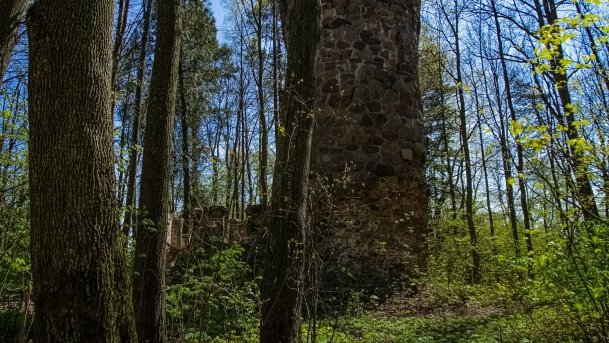 Wieża Bismarcka Srokowo - zdjęcie 40