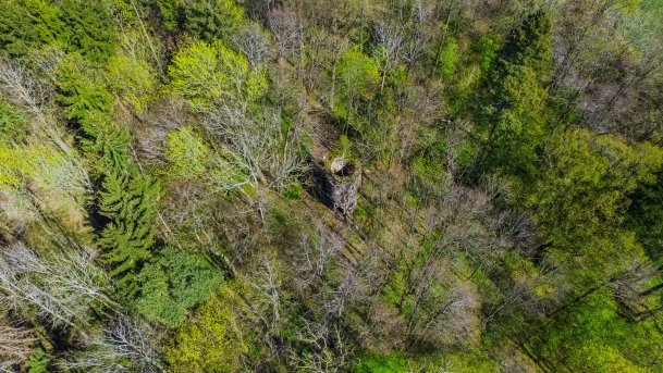 Wieża Bismarcka Srokowo - zdjęcie 32