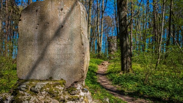 Wieża Bismarcka Srokowo - zdjęcie 9