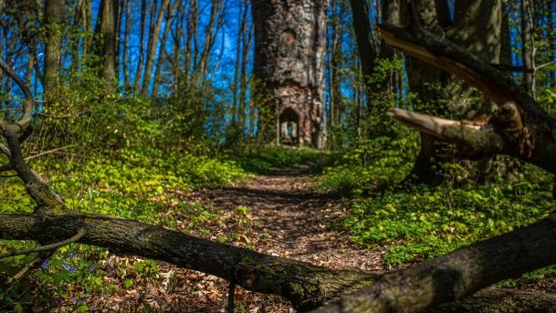 Wieża Bismarcka Srokowo - zdjęcie 8