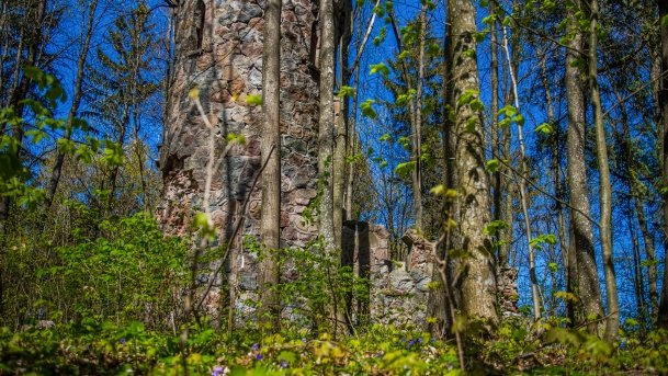 Wieża Bismarcka Srokowo - zdjęcie 6
