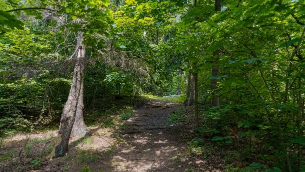 Dawny ołtarz ofiarny Jaćwingów - zdjęcie 8