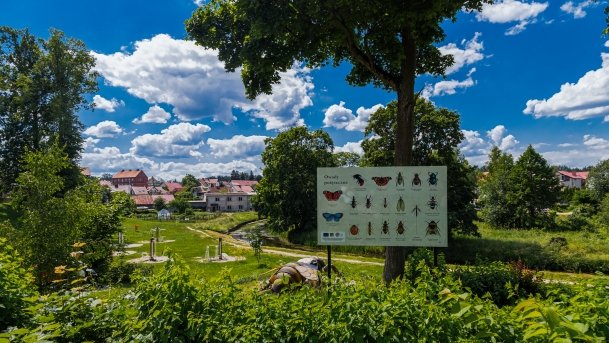 Park owadów - zdjęcie 19