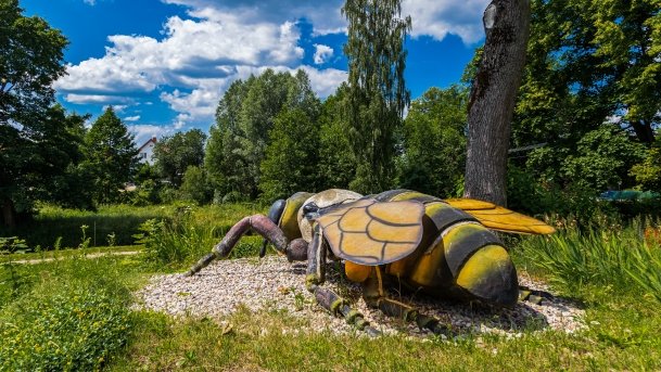 Park owadów - zdjęcie 18