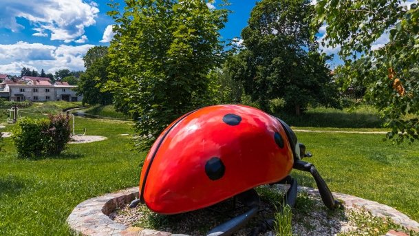 Park owadów - zdjęcie 17