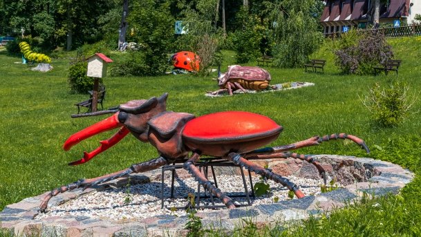 Park owadów - zdjęcie 16