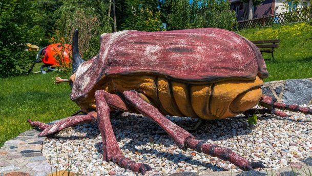 Park owadów - zdjęcie 15