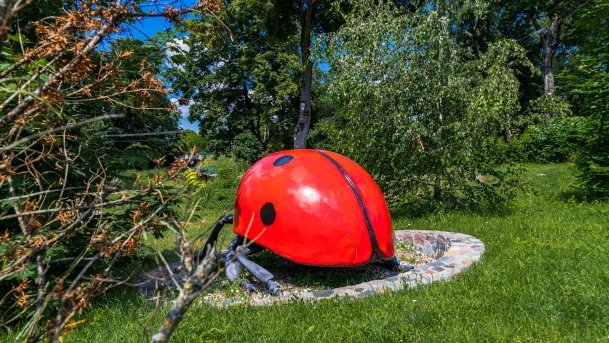 Park owadów - zdjęcie 13