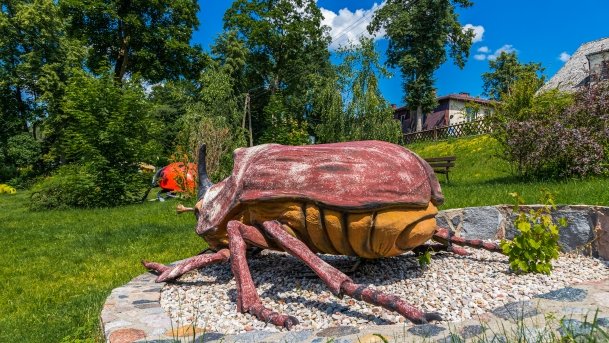 Park owadów - zdjęcie 11