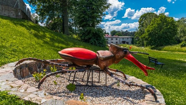 Park owadów - zdjęcie 10