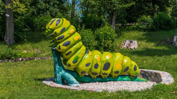 Park owadów - zdjęcie 8