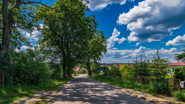 Stary cmentarz - zdjęcie 2