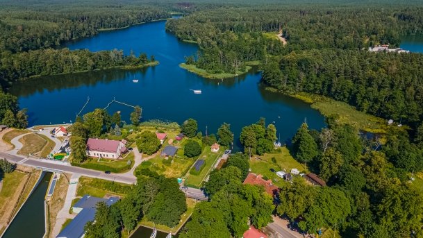 Guzianka Mała - zdjęcie 1