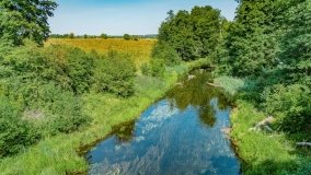 Spływ kajakowy - rzeka Krutynia - zdjęcie 4