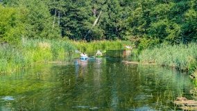 Spływ kajakowy - rzeka Krutynia - zdjęcie 3