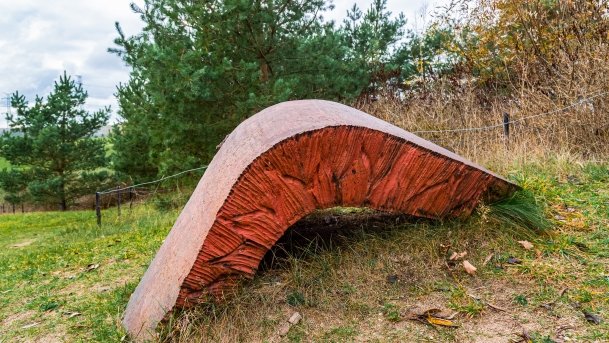 Skansen Fortyfikacji Prus Wschodnich - Bakałarzewo - zdjęcie 17