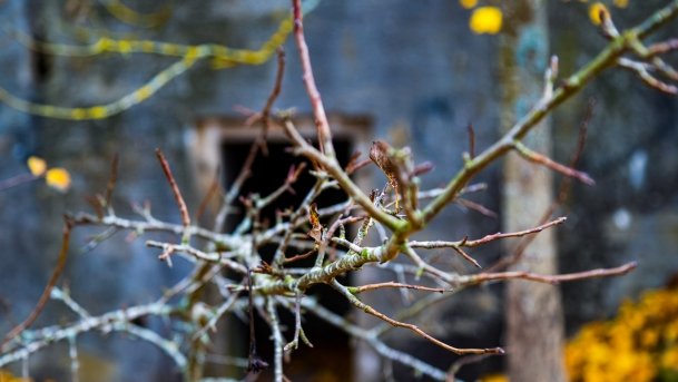 Skansen Fortyfikacji Prus Wschodnich - Bakałarzewo - zdjęcie 14