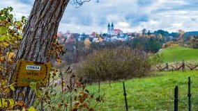 Skansen Fortyfikacji Prus Wschodnich - Bakałarzewo