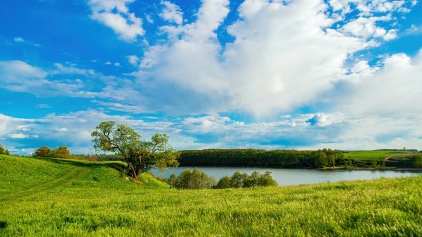 Grodzisko Święta Góra - zdjęcie 54