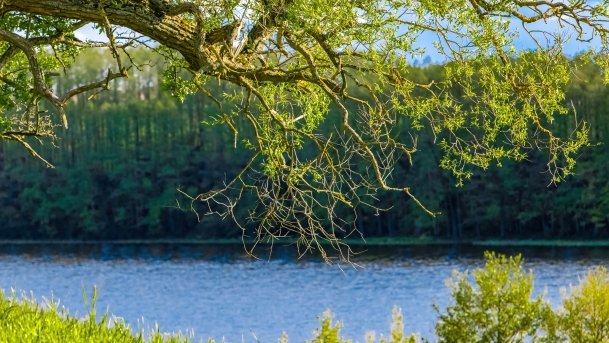 Grodzisko Święta Góra - zdjęcie 51