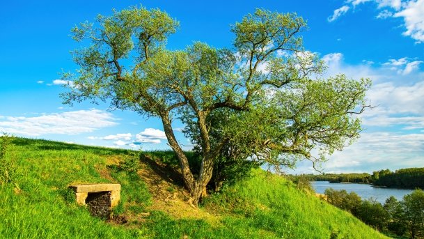 Grodzisko Święta Góra - zdjęcie 41