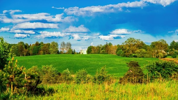 Grodzisko Święta Góra - zdjęcie 38