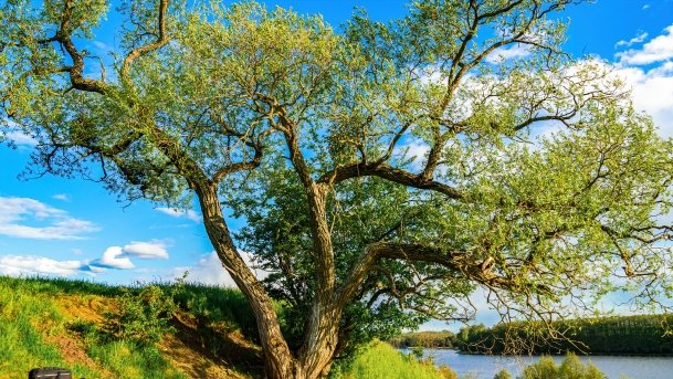 Grodzisko Święta Góra - zdjęcie 36