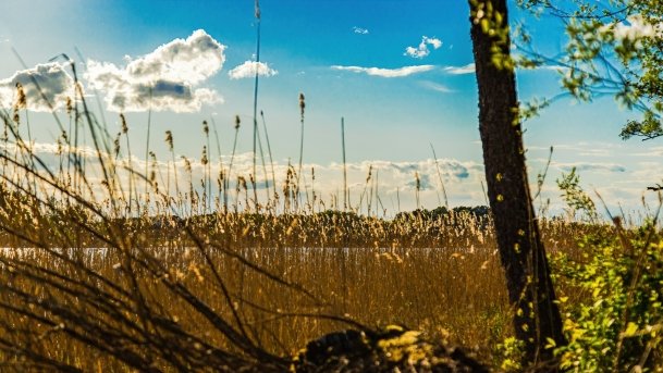 Grodzisko Święta Góra - zdjęcie 32