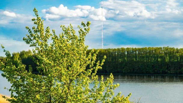 Grodzisko Święta Góra - zdjęcie 31