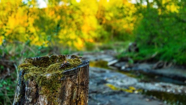 Grodzisko Święta Góra - zdjęcie 27