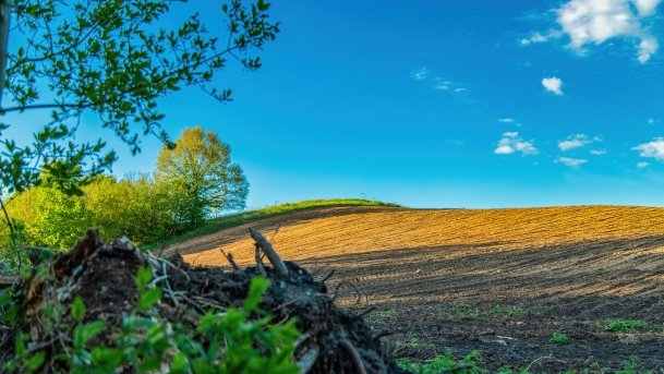 Grodzisko Święta Góra - zdjęcie 25