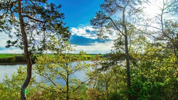 Grodzisko Święta Góra - zdjęcie 24