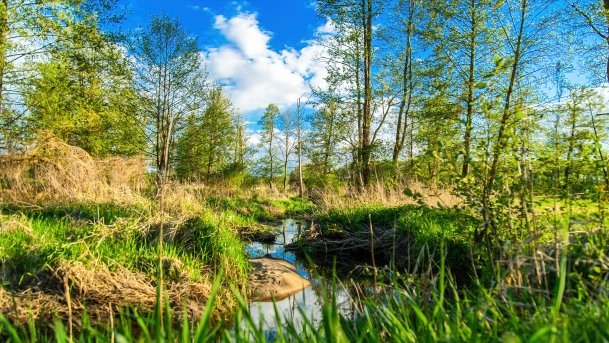 Grodzisko Święta Góra - zdjęcie 23