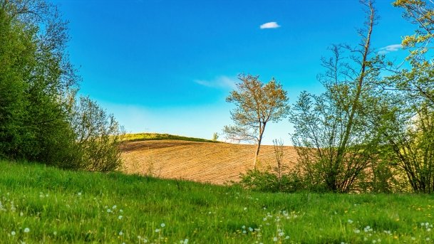 Grodzisko Święta Góra - zdjęcie 22