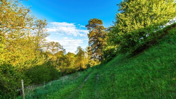 Grodzisko Święta Góra - zdjęcie 21