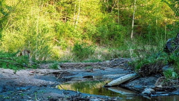 Grodzisko Święta Góra - zdjęcie 20