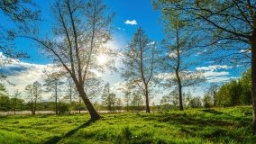 Grodzisko Święta Góra